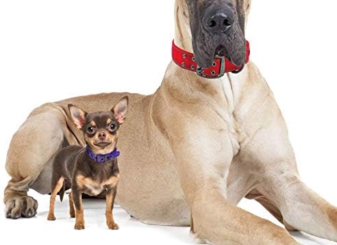 Max and Neo MAX Reflective Metal Buckle Dog Collar - We Donate a Collar to a Dog Rescue for Every Collar Sold (X-Large, Teal)