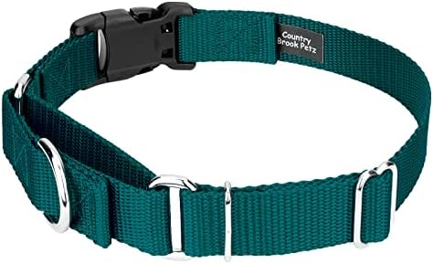 Martingale Dog Collar - Heavy Duty Nylon Adjustable Martingale Dog Collar with Plastic Buckle for Small Medium Large Breeds - 30+ Colors (3/4 Inch, Small, Teal)