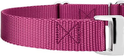Country Brook Petz - Martingale Dog Collar - Heavy Duty Nylon Adjustable Martingale Dog Collar with Metal Buckle for Small Medium Large Breeds - 30+ Color Options (1 Inch, Large, Rose)