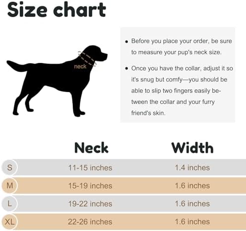 Personalized Reflective Dog Collar with Name, Turquoise: S