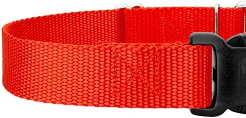 Martingale Dog Collar - Heavy Duty Nylon Adjustable Martingale Dog Collar with Plastic Buckle for Small Medium Large Breeds - 30+ Colors (1 Inch, Extra Large, Hot Orange)