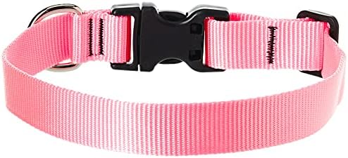 LupinePet Basics 1" Pink 12-20" Adjustable Collar for Medium and Larger Dogs