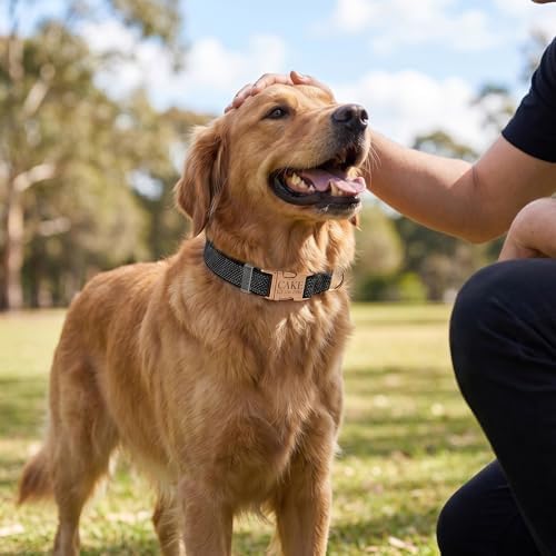 Custom Dog Collar with Name and Phone Number