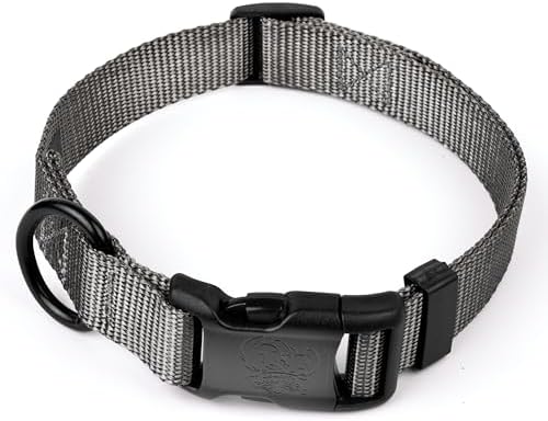 Country Brook Petz - Everyday Nylon Dog Collar for Large, Medium, and Small Dogs and Puppies - for Everyday Use in 30+ Colors (Extra Large, 1 Inch Wide, Charcoal)