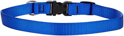LupinePet Basics 3/4" Blue 13-22" Adjustable Collar for Medium and Larger Dogs