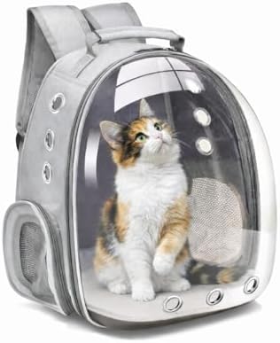 Bubble Backpack Pet Carrier for Cats & Small Dogs up to 17 lbs – Ventilated Clear Capsule Backpack with Mesh Panels, Lightweight Travel Backpack for Walking, Hiking & Airline Carry-On (Silver)