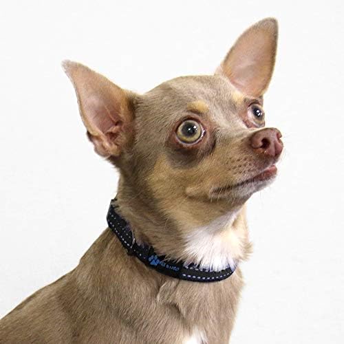 Max and Neo NEO Nylon Buckle Reflective Dog Collar - We Donate a Collar to a Dog Rescue for Every Collar Sold (X-Small, Black)
