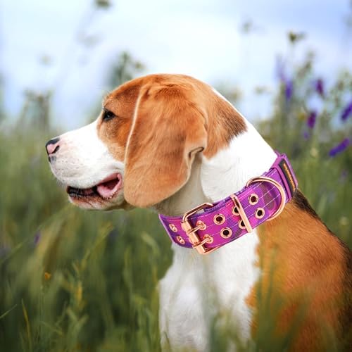Heavy Duty Dog Collar for Large Dogs,Purple Camo,Extra Large