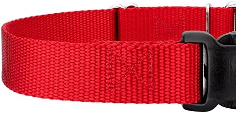 Martingale Dog Collar - Heavy Duty Nylon Adjustable Martingale Dog Collar with Plastic Buckle for Small Medium Large Breeds - 30+ Colors (5/8 Inch, Extra Small, Bright Red)