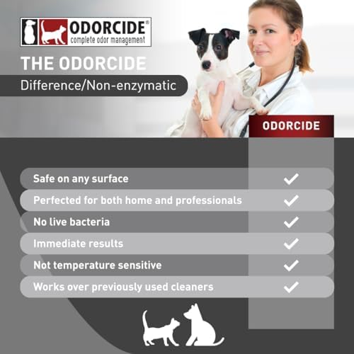 Odorcide KOE Frost Concentrate, 128 oz
