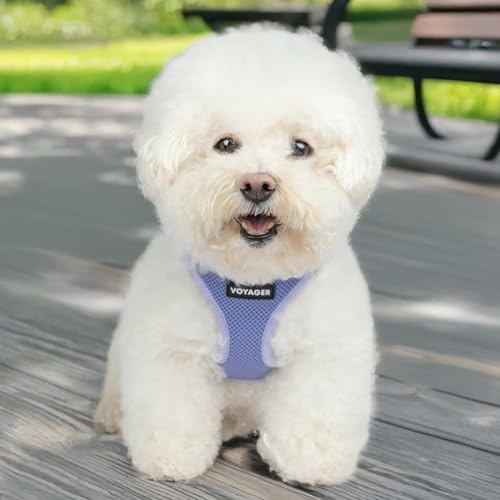 Best Pet Supplies - All Weather Mesh/Plush, Reflective, No Pull Harness for Small, Medium Dogs, Cats - Secure with Hook & Loop Fastener, Buckle, Double D-Rings - Lavender, S