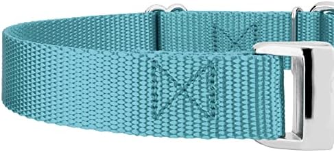 Country Brook Petz - Martingale Dog Collar - Heavy Duty Nylon Adjustable Martingale Dog Collar with Metal Buckle for Small Medium Large Breeds - 30+ Color Options (5/8 Inch, Extra Small, Ocean Blue)