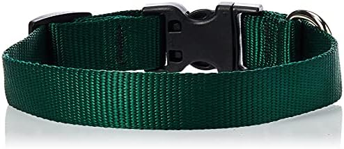 LupinePet Basics 3/4" Green 9-14" Adjustable Collar for Small Dogs