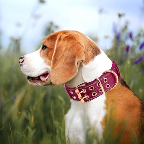 Heavy Duty Dog Collar for Medium Large Dogs,Wine Red,Large