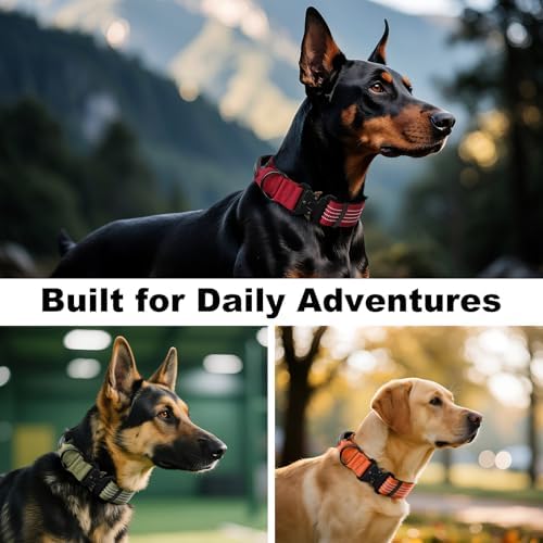 Plutus Pet Tactical Dog Collar with Pocket for AirTag, Red, M
