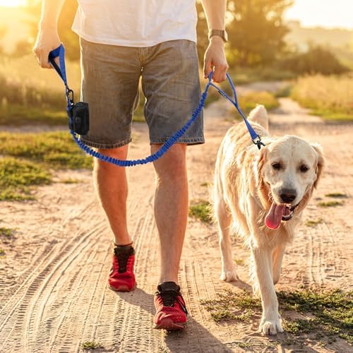 Tactical Dog Collar and Leash Set with Handle for Medium Dogs