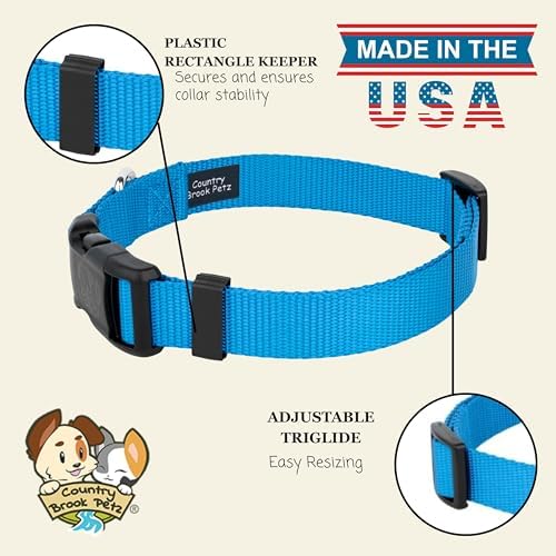 Country Brook Petz - Everyday Nylon Dog Collar for Large, Medium, and Small Dogs and Puppies - for Everyday Use in 30+ Colors (3XS, 3/8 Inch Wide, Ice Blue)