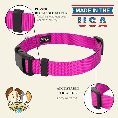Country Brook Petz - Everyday Nylon Dog Collar for Large, Medium, and Small Dogs and Puppies - for Everyday Use in 30+ Colors (Small, 3/4 Inch Wide, Fuchsia)