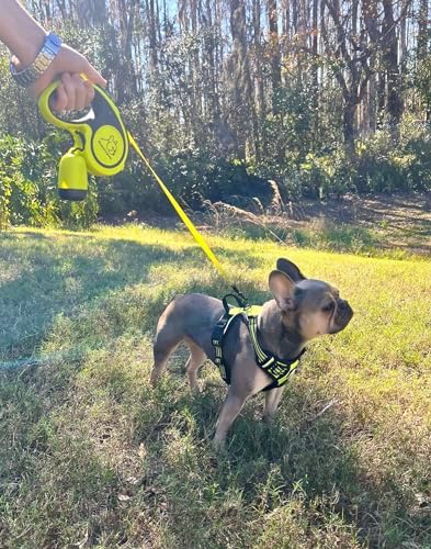 Funny Fur Grace - Neon Green 3-in-1 Comfort Fit Adventure Dog Walking Set: Adjustable Escape-Proof Harness,16ft Retractable Leash with Anti-Slip Handle, Pup Bags, for Dogs #funnyfurgrace