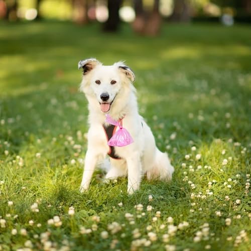 HZDHCLH Dog Poop Bags 120 Count Extra Thick Lavender Scented Pet Waste Bags