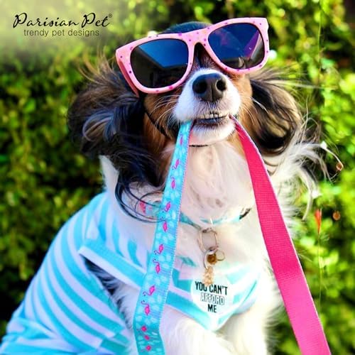 Parisian Pet Flamingo Dog Collar - Adjustable Light Blue and Pink Girl Pet Collar with Secure Buckle and Metal D-Ring - Comfortable Designer Puppy Collars - Durable Nylon Dog Collars for Small Dogs