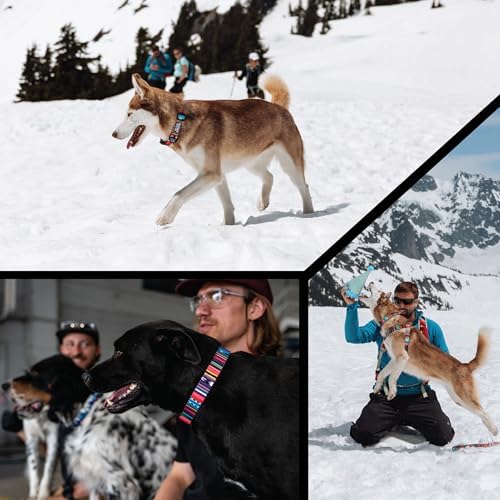 Wolfgang Heavy Duty, Adjustable Dog Collar with Quick Release Nylon Buckle for Walking & Training, Quetzal Print, Large