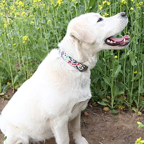 Customized Nylon Dog Collar, Personalized Dog Collar Engraved with Name and Phone Number,Adjustable ID Dog Collar with Quick-Release Buckle (S, Graffiti)