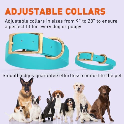 Viper Biothane Heavy Duty Waterproof Dog Collar Strong Coated Nylon Webbing w/Solid Brass Hardware Odor-Proof Easy to Clean High Performance Fits Small Medium or Large Dogs, Sky Blue