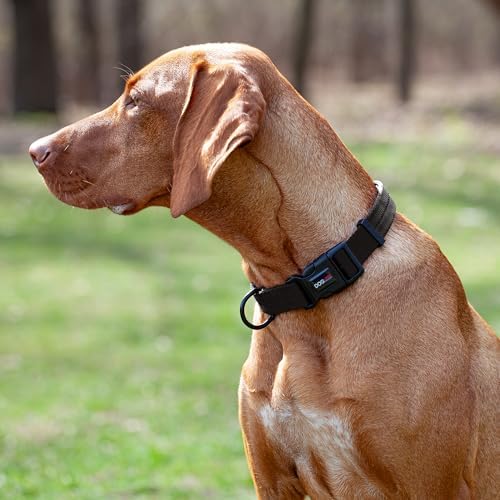 Dogline Black Nylon Collar (W: 1" L: 16"-24")