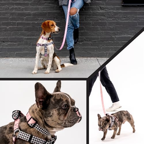 Wolfgang Heavy Duty, Adjustable Dog Collar with Quick Release Nylon Buckle for Walking & Training, HoundsPink Print, Large