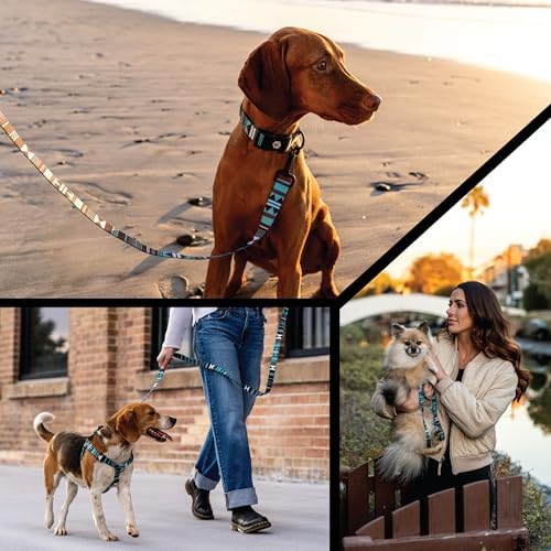 Wolfgang Venture Dog Collar Westernsky M