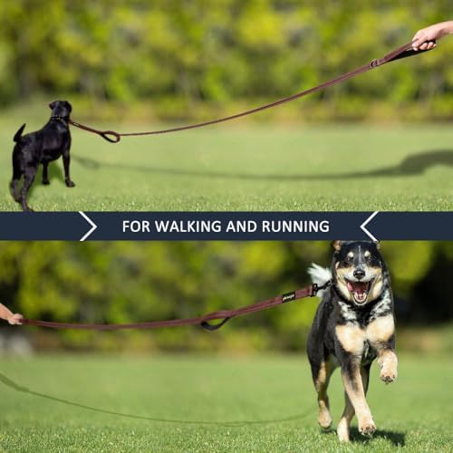 Plutus Pet Double Handle Dog Leash, 5 FT Long, for Medium Large Dogs