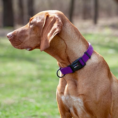 Dogline Purple Nylon Collar (W: 1" L: 16"-24")