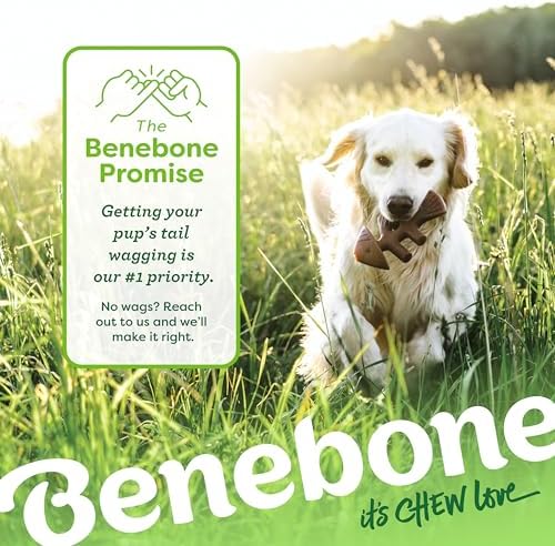Benebone 2-pack Fishbone/Wishbone Durable Dog Chew Toys, Dog Bones, Medium