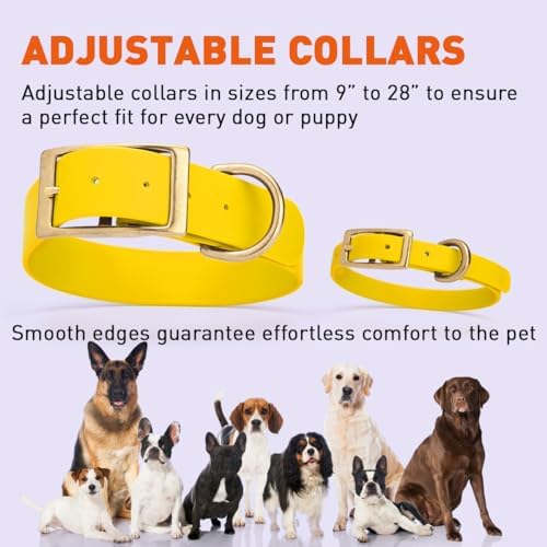Viper Biothane Heavy Duty Waterproof Dog Collar Strong Coated Nylon Webbing w/Solid Brass Hardware Odor-Proof Easy to Clean High Performance Fits Small Medium or Large Dogs, Lemon Yellow