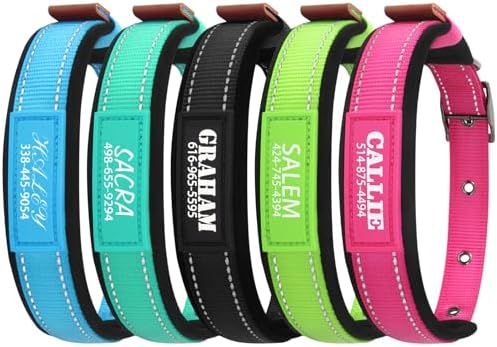 Personalized Dog Collar with UV-Printed Name and Phone Number Custom Adjustable Reflective Nylon Collar for Large Dogs (Metal Buckle)