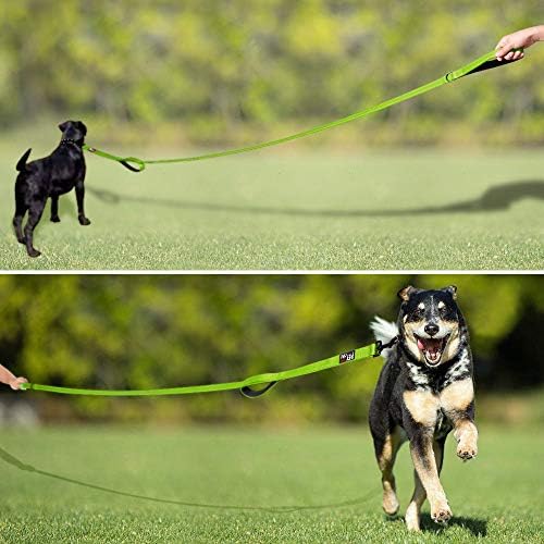 Plutus Pet Double Handle Dog Leash, 4 FT Long, for Medium Large Dogs