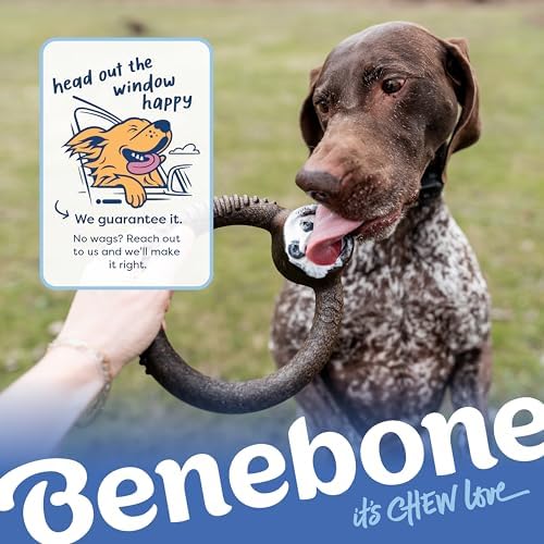 Benebone Ring Dog Chew Toy for Aggressive Chewers, Blueberry, Large