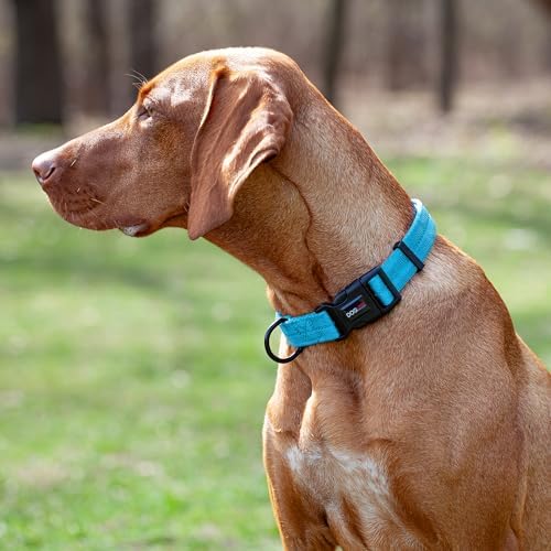 Dogline Cyan Blue Nylon Collar (W: 3/8" L: 9"-13")
