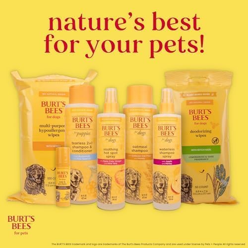 Burts Bees for Pets Oatmeal Dog Shampoo with Honey, 16 Fl Oz, 2-Pack | Soothing colloidal oat flour formula for itchy, sensitive dog skin, pH-balanced and sulfate-free for regular use