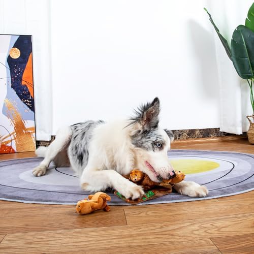 Hollypet Squeaky Hide and Seek Dog Toys for Small and Medium Dogs, Moles