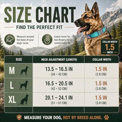 Tactical Dog Collar with Handle, Heavy Duty Nylon for Medium Dogs