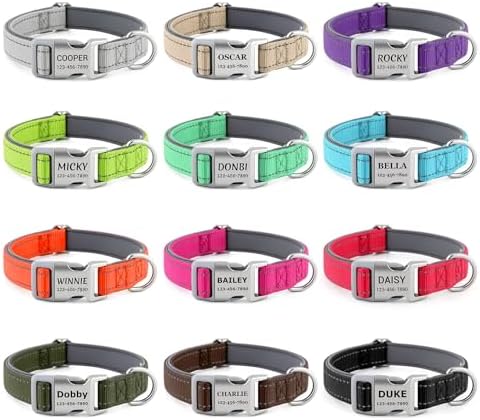 Personalized Dog Collars, Custom Laser Engraved Name & Phone Number