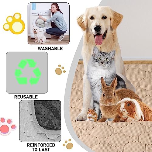 2 Pack 26" x 20" Washable Dog Pee Pads, kiwitatá Non Slip Absorbing Guinea Pig Bedding Pee Pads, Reusable Pet Training Pads for Whelping Box, Housebreaking, Crate, Kennel (Beige/Gray) (Large)