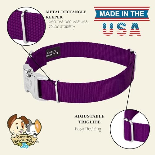 Country Brook Petz - Premium Nylon Dog Collar with Metal Buckle for Small Medium Large Breeds - 30+ Colors (Small, 3/4 Inch, Purple)