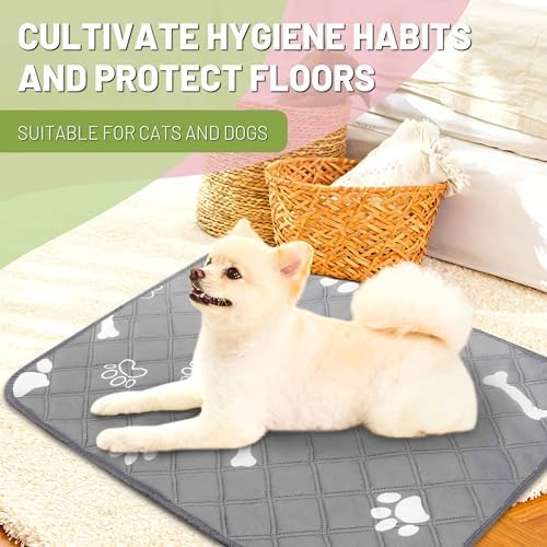 PatiencET Washable Pee Pads for Dogs, 18" x 24" 4 Pack, Reusable Puppy Training Pads with Super Absorbent Core & Non-Slip Waterproof Bottom, Value Set for Small Dogs