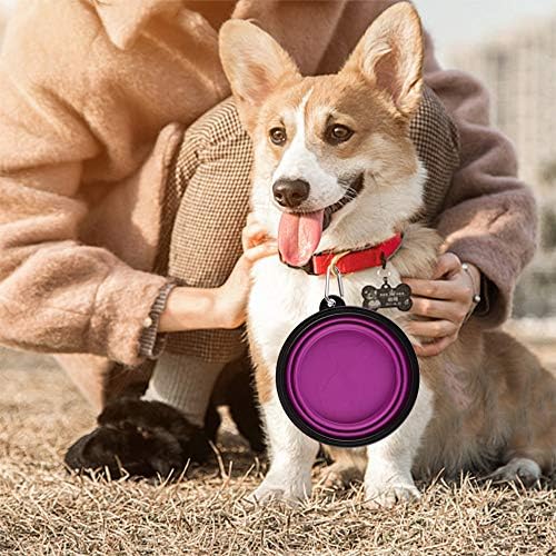 Guardians Large Collapsible Dog Bowls, 34oz Travel Water Food Bowls Portable Foldable Collapse Dishes with Carabiner Clip, 2 Pack (Blue + Purple)