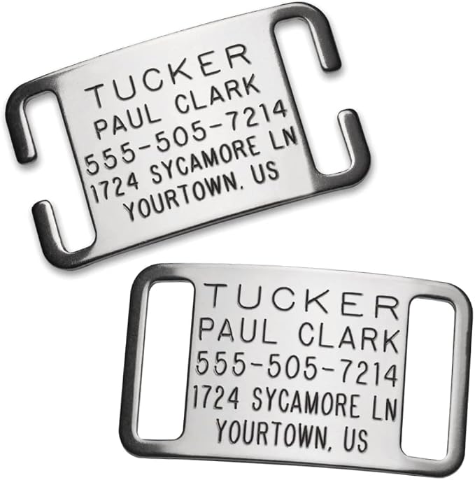 Boomerang Tags Dog Tags Personalized for Pets - Will Last Your Pets Lifetime - Dog Name Tag, Custom Dog Tags, Pet Tag, Quiet Engraved Stainless Steel (Open End Medium for 3/4 Inch Snap Style Collars)