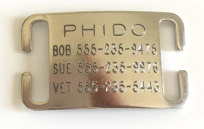 Boomerang Tags Dog Tag - Lasts Your Pets Lifetime - Personalized Dog Tags, Engraved Dog Tag, No Jingle Durable Curved Stainless Steel, Custom Dog Tags (Open End Small for 5/8 Inch Snap Style Collar)