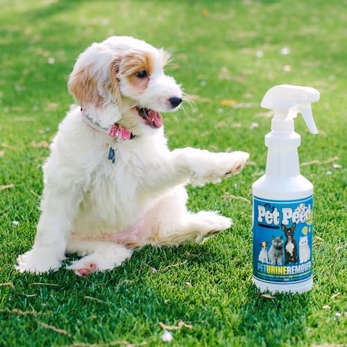 My Pet Peed - Pet Stain & Odor Remover (32oz Spray Bottle)